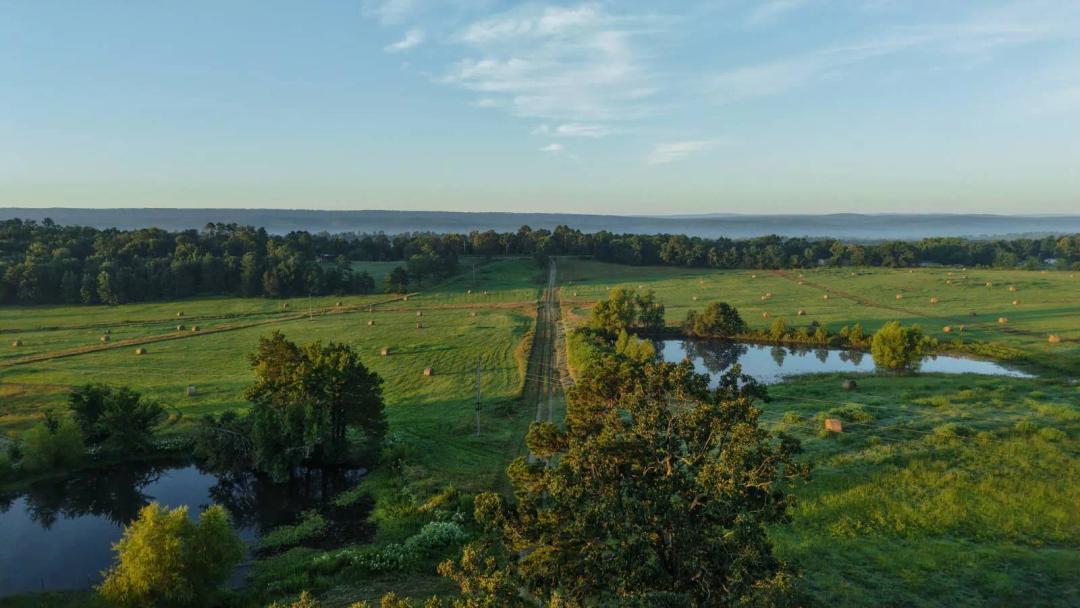 116.72 Acres at 28170 Walnut Road