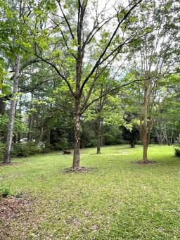 1237-main-st-woodville-24