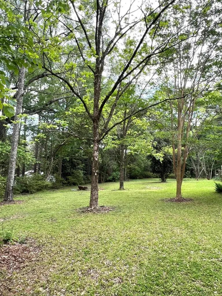 1237-main-st-woodville-24