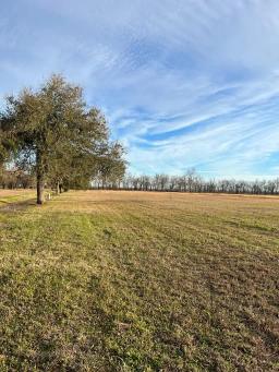 tbd-hwy-569-ferriday-l-0