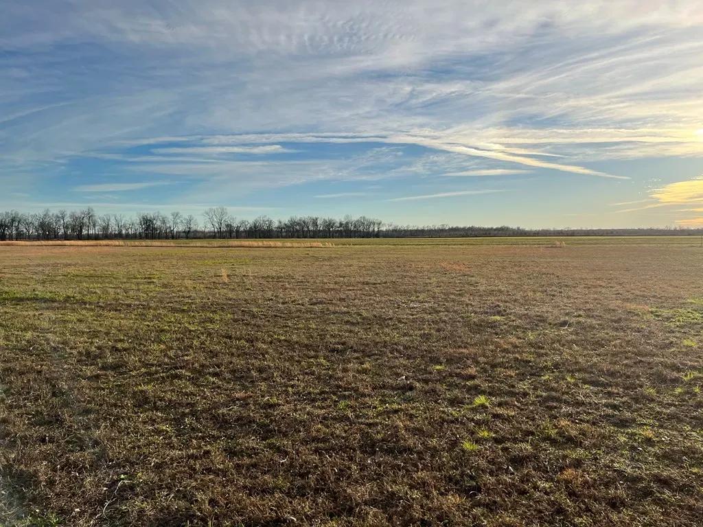 tbd-hwy-569-ferriday-l-2