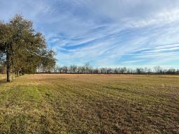 tbd-hwy-569-ferriday-l-4