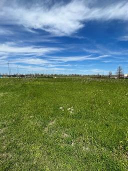 tbd-tbd-hwy-84-w-vidali-1