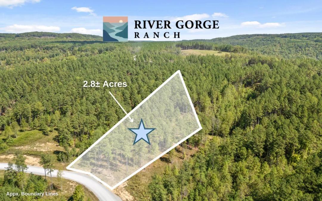 Nearly 3 ACRE HOMESITE in River Gorge Ranch! 