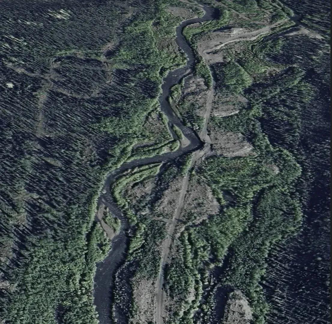 79701867-24