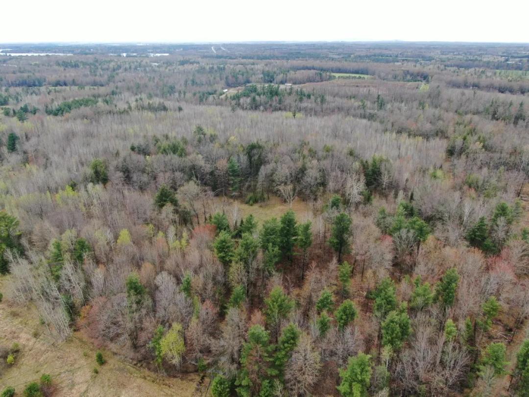 Portage County 40 Acre Hunting and Rec Property for Sale