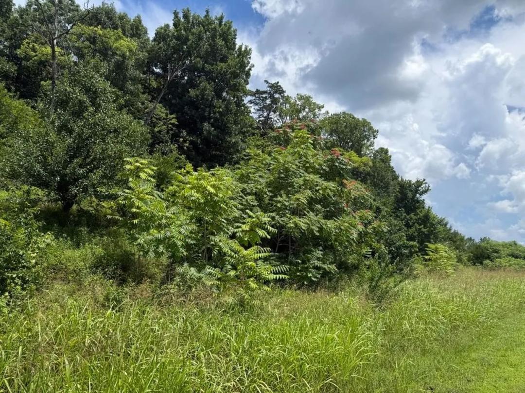 0 Liberty Pike, Franklin, TN 37067