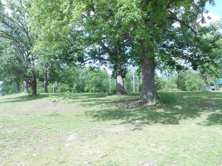 Scenic .64-Acre Corner Lot Overlooking Downtown Albany - Hwy 85