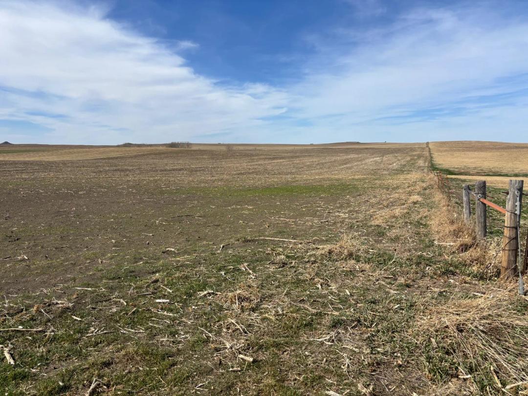 160 Acres Taylor TWN-Tripp County, SD
