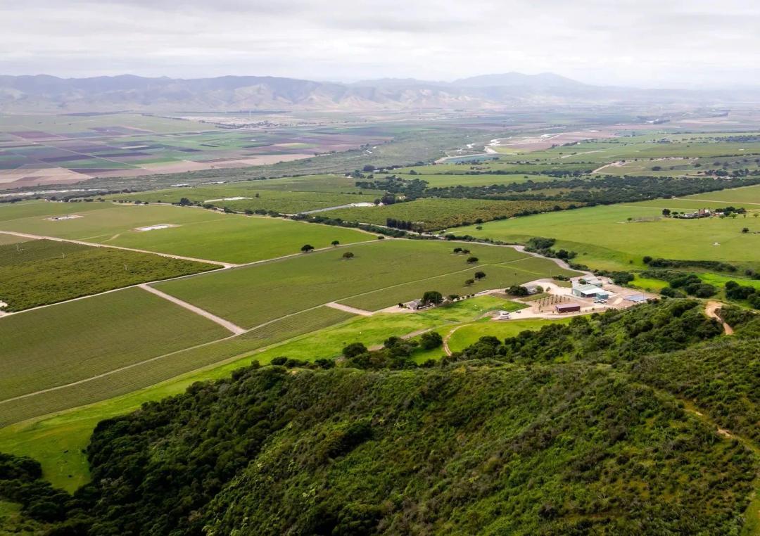 Boekenoogen Santa Lucia Highlands Vineyard  Property