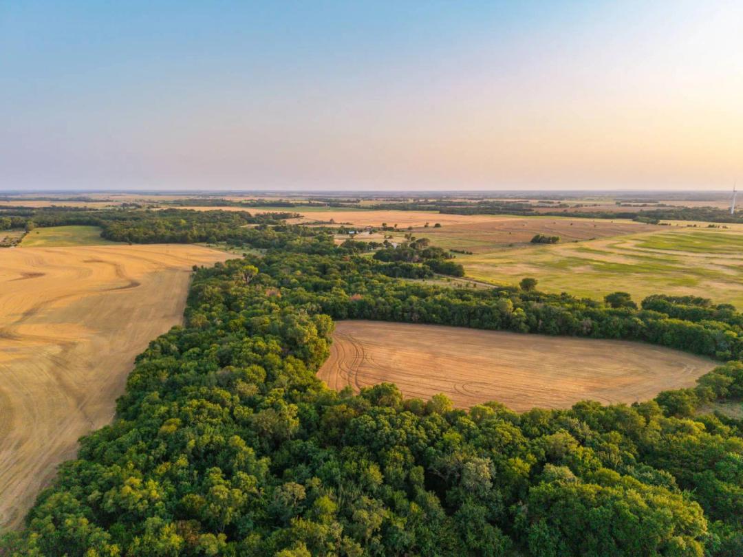 Whitetail Haven With Income