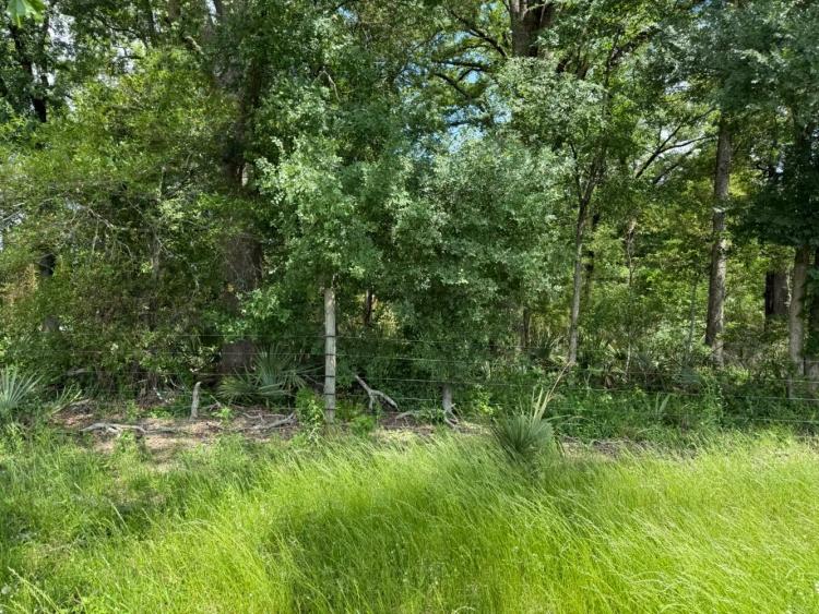 90.00 Acres at 0 Hwy 3048
