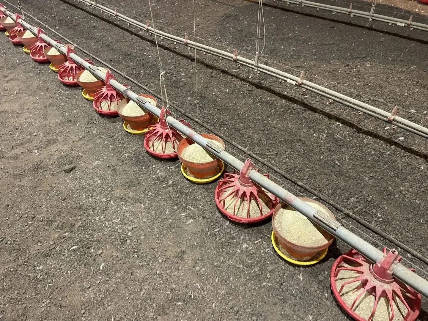 7976894-6