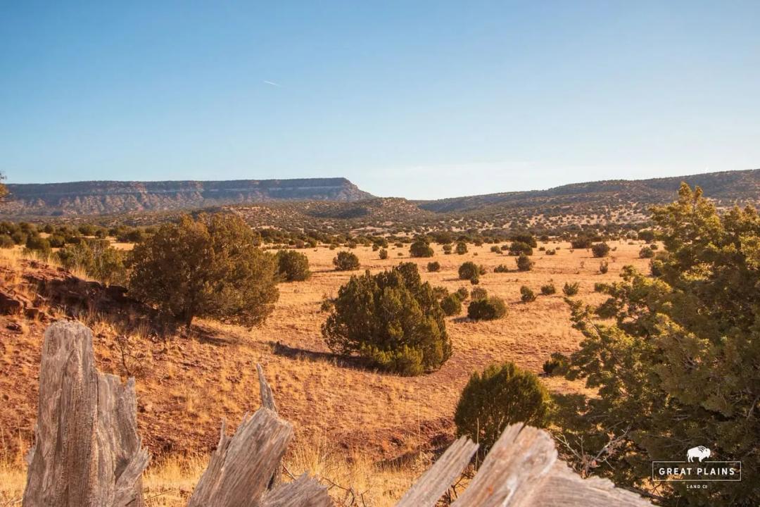 Mammoth Crest Ranch