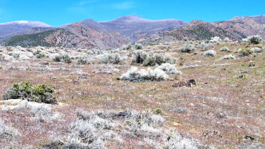 Huge Humboldt River Valley Views to the West - Mountains to the East