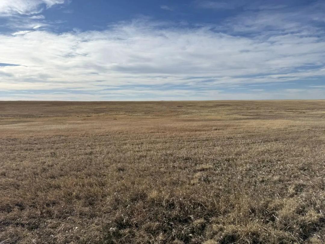 CRP For Sale Parcel #2