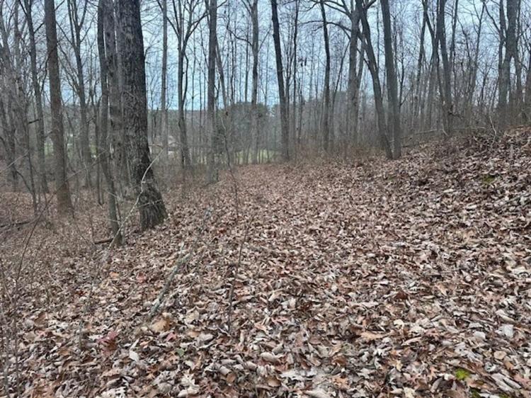 120.62+/-acres Beautiful unrestricted property