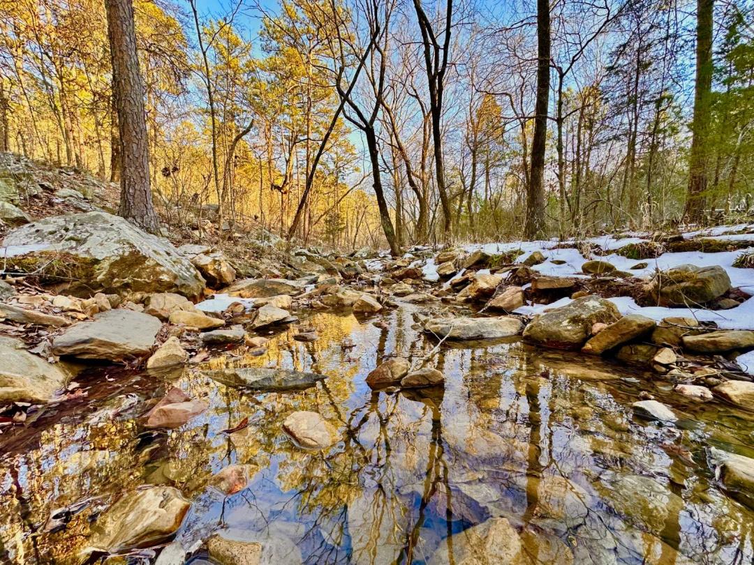 225 +\- Acres of Untouched Mountain Wilderness- Latimer County,