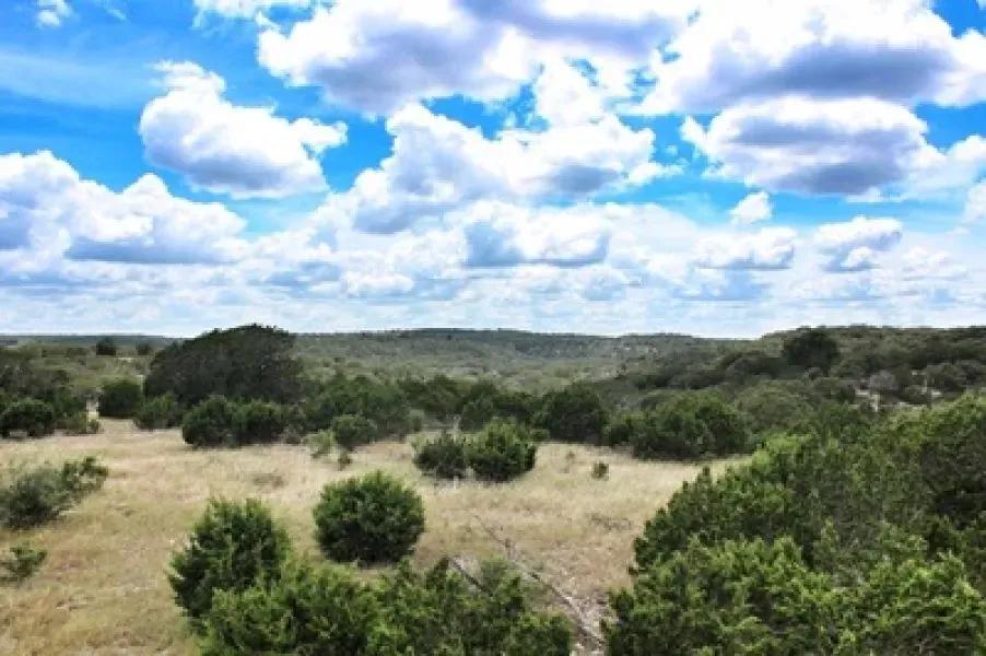 Pinion Springs East