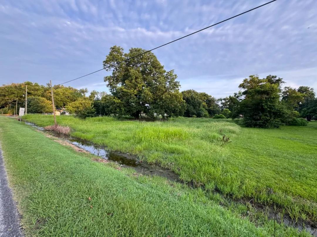 1 Acre Lot in Tensas Parish, LA 