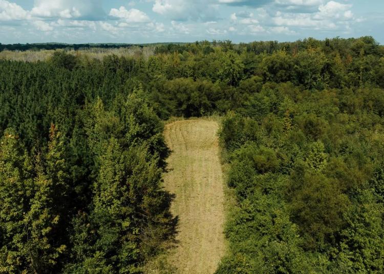 252 Acres in Lamar County, Alabama
