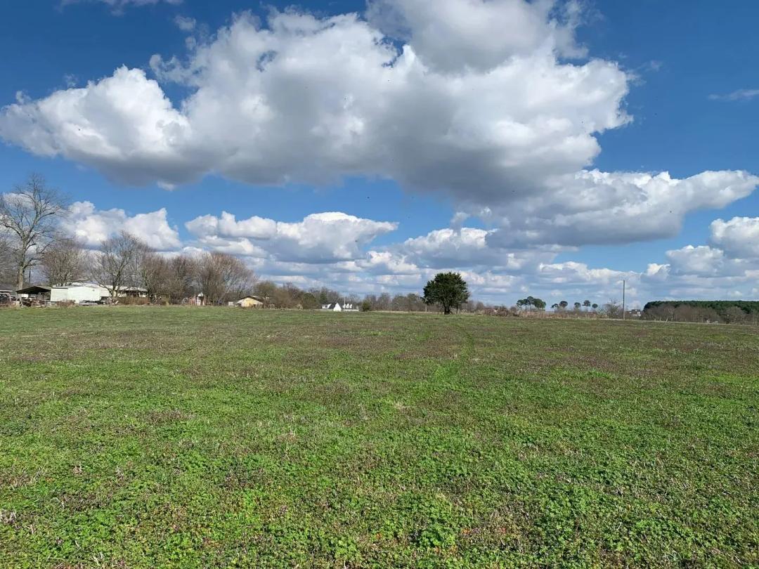 Shiloh Ranch Road 31