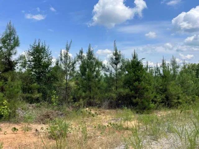 Fowlers Crossroads Tract