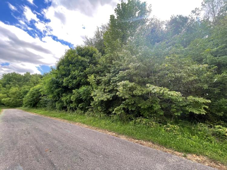 Wooded 1.7-Acre Lot - Ideal for Home or Development