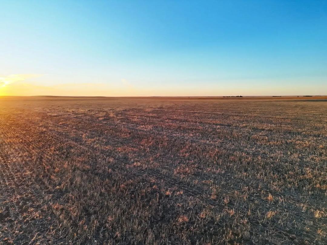 Quality Cropland with Good Access to Paved Highway 71 