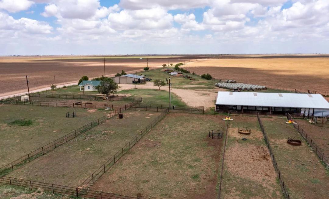 Lubbock County Cattle and Horse Ranch