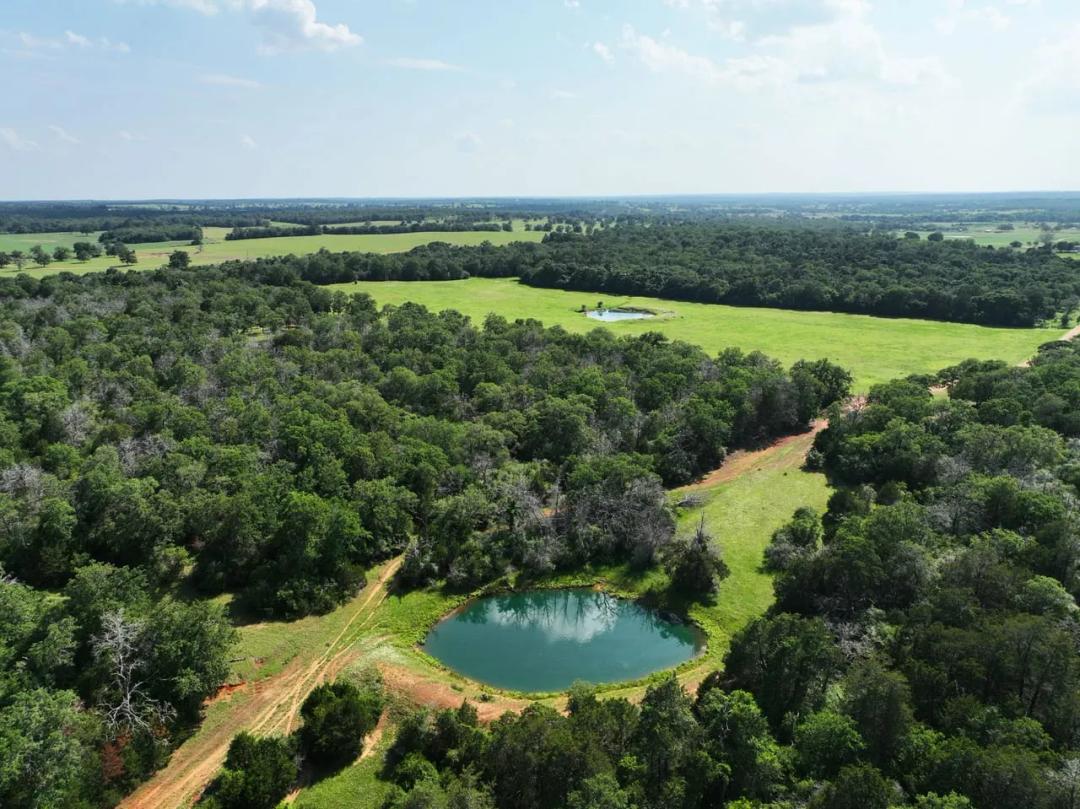 Roadrunner Ranch