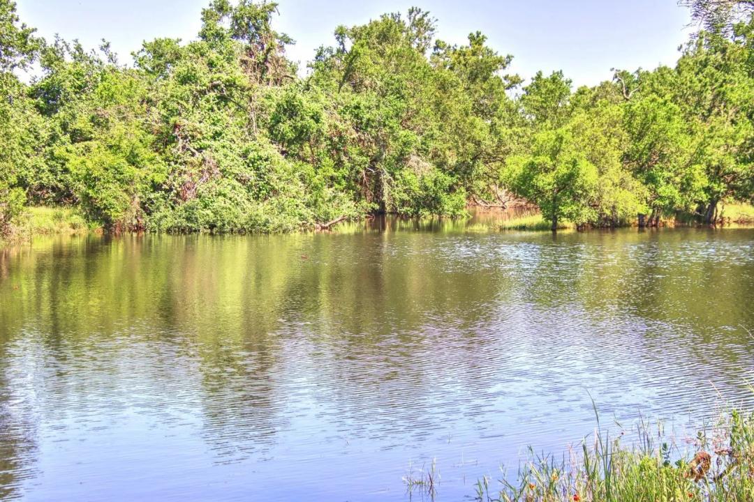 Willow Creek Ranch 5