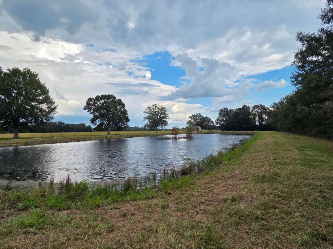 7.4 Acres with Fishing Ponds, Lacassine Road, Scott, La.