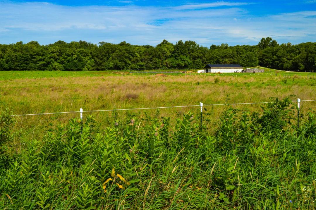 Horse Stable and Home near St Joseph MO For Sale
