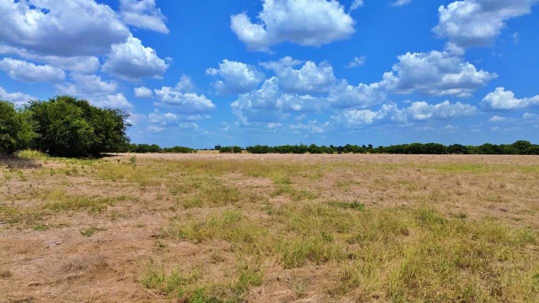 25 acres unrestricted land for sale Era, TX