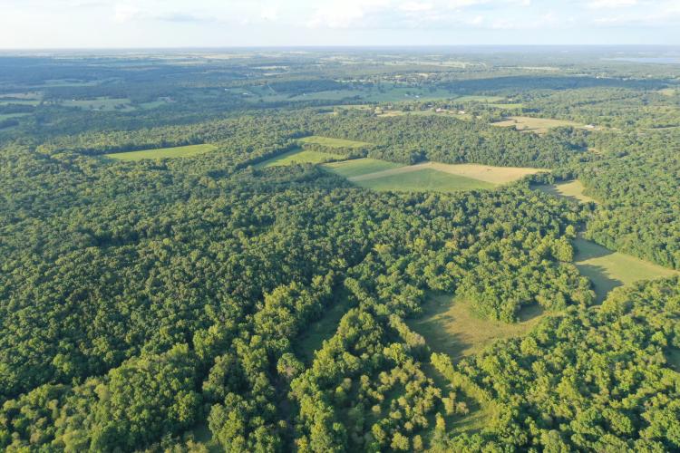 Beautiful 157 Acres Live Creek Farm