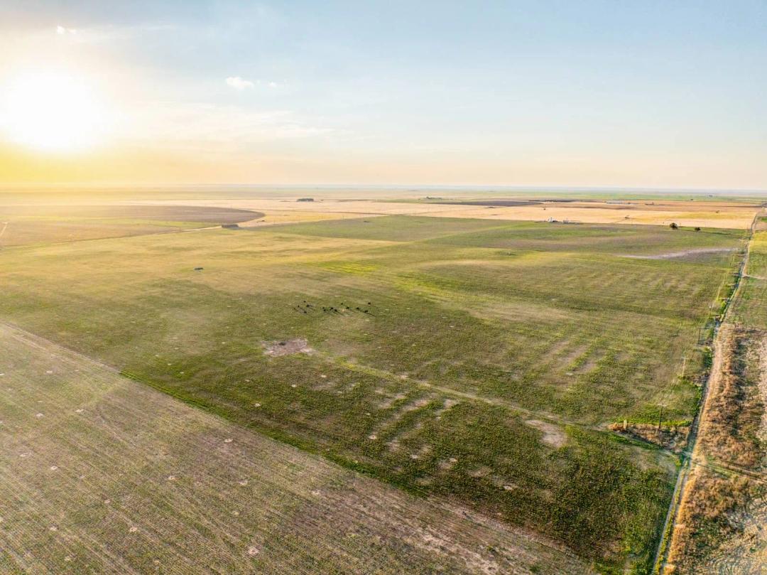 Tract 1 Western Panhandle Farms