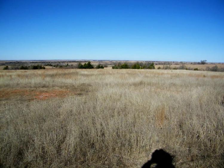 Pasture Land along I35