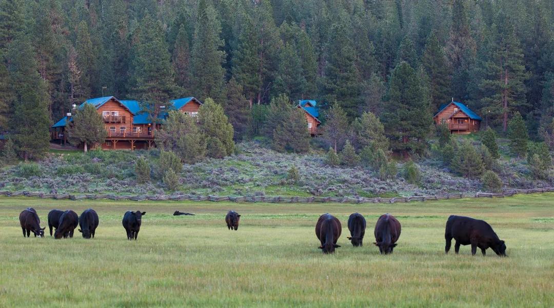 Aspen Ridge Ranch