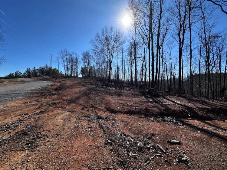 50 Acres of Natural Beauty in Linden, TN!