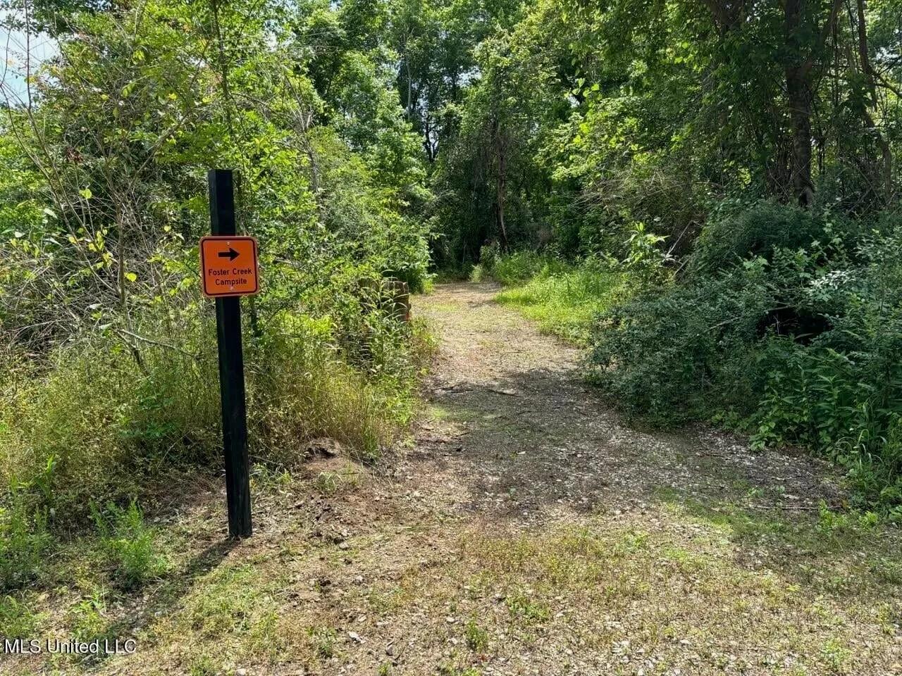 80242752-29