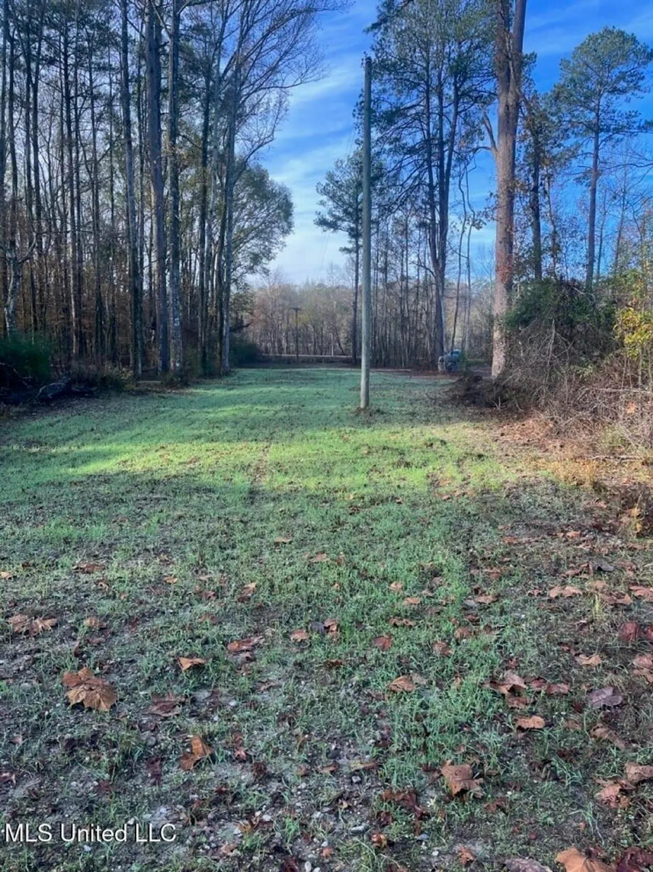 80242752-4