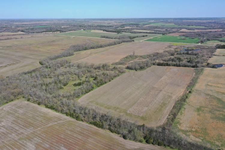 80± Acre Kansas Hunting Tract with Tillable Ground for Sale - Allen County