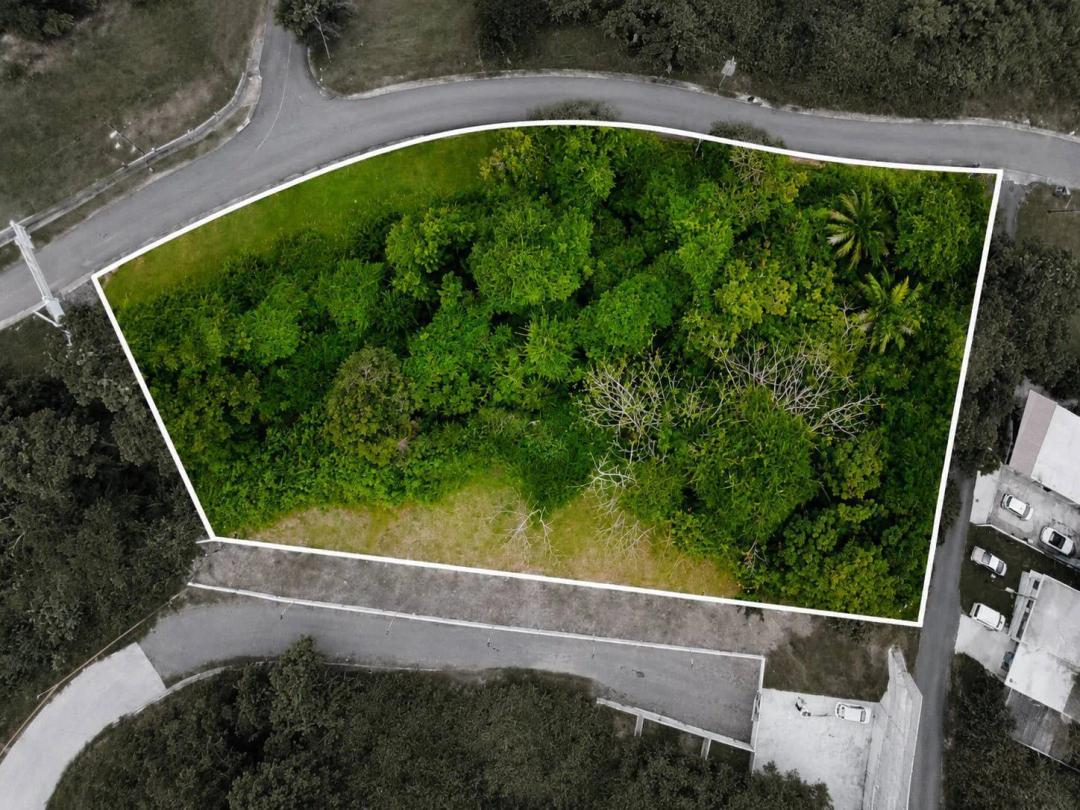 Prime View Lot at Bo. Navarro in the city of Gurabo
