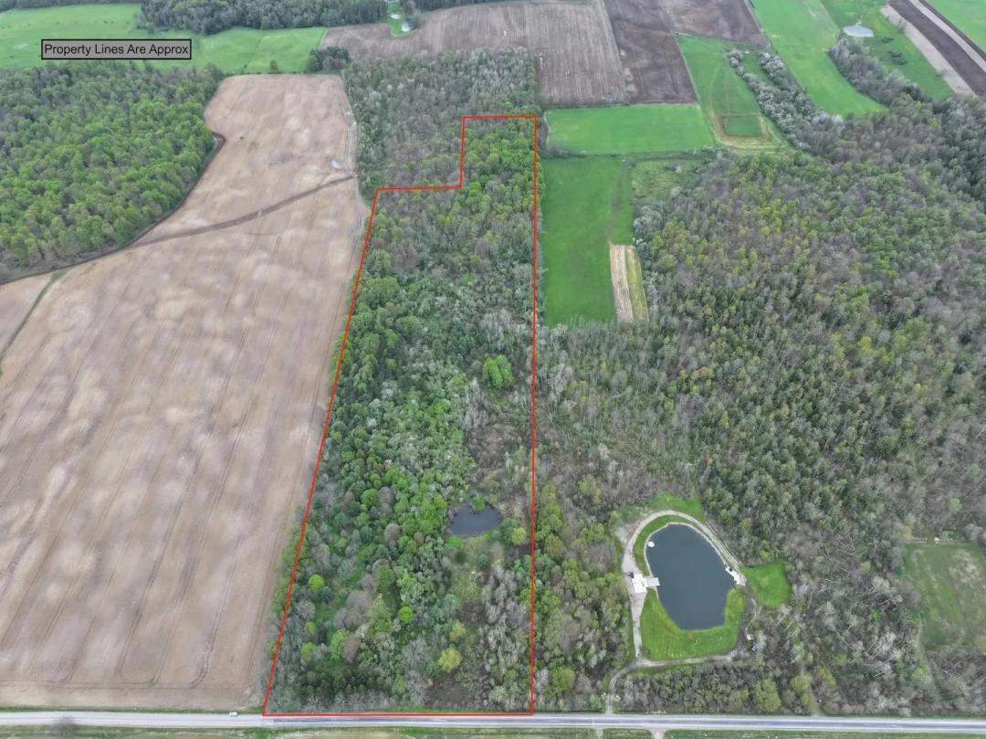 30 acres Hunting Land and Building Lot with Pond in Leon NY Youngs Road