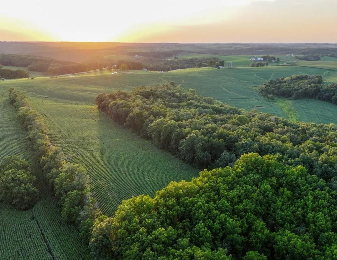 Listing #19712 - 169.75 acres in Vernon County, WI
