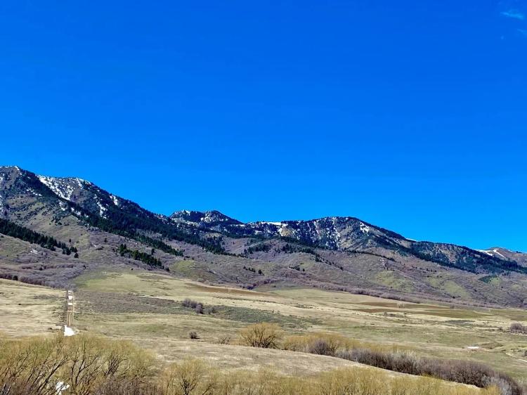 Steel Canyon Ranch