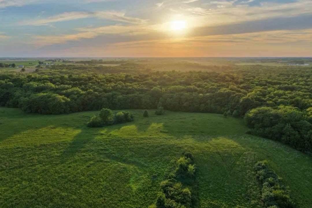 Listing #19472 - 20.91 acres in Washington County, IA