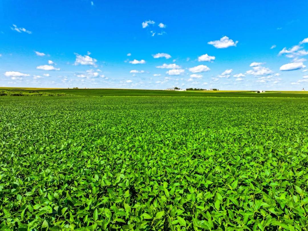 Listing #19665 - 150.35 acres in Fayette County, IA