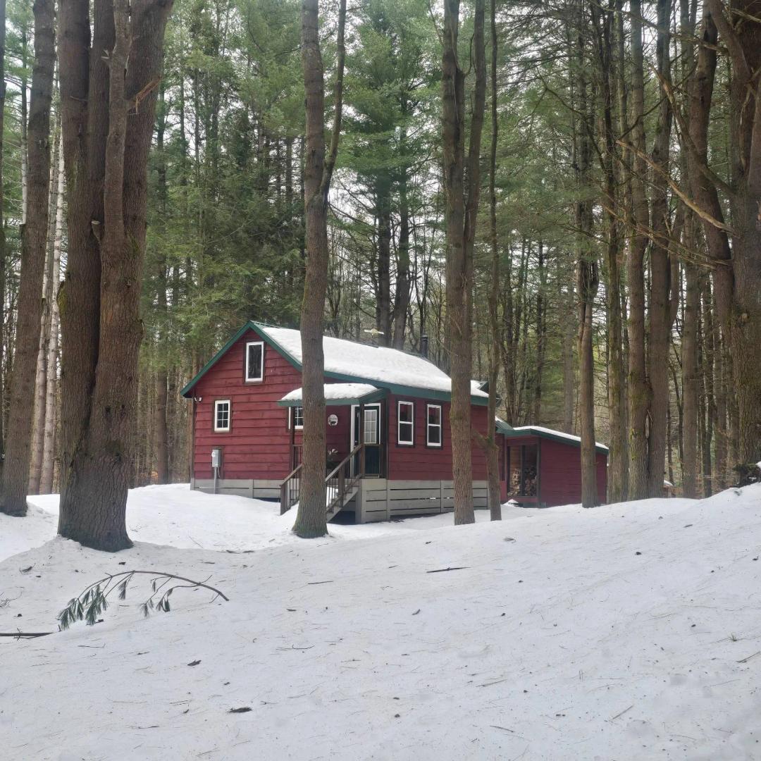 7 acres of Land with Finished Cabin Constantia NY